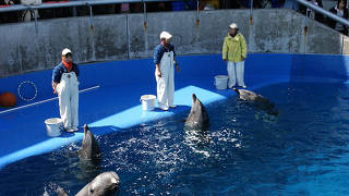 朝一は人が少なくておすすめ！