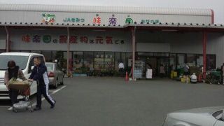 新鮮野菜と新鮮植木、青い卵に生きた水！とは？！