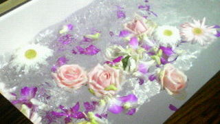 広い空間でのびのびとお買い物もおしゃべりも。