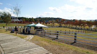 手軽に動物と触れ合うことができます。