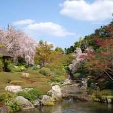 庭も素敵です。