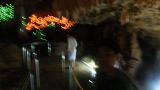 綺麗になっていました