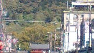 祇園の有名な神社！