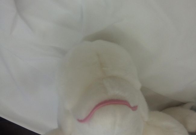 Yy Shop ワイワイショップ クチコミ アクセス 営業時間 八景島 フォートラベル Yy Shop ワイワイショップ クチコミ アクセス 営業時間 八景島 フォートラベル