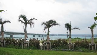 島からの橋と海の眺めがいいです。