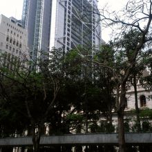 チャーターガーデンから眺めました