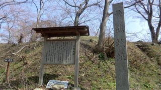 ここから三春の町を眺めれば、あちこちに桜のピンクが見つかります。