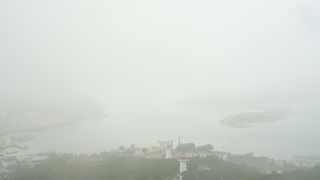 遠い日に想いを馳せました。