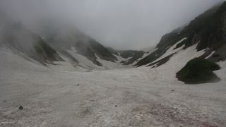 お花畑が最大の見所です