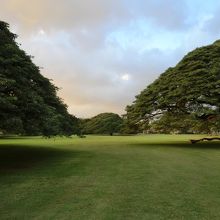 夕暮れ時の公園