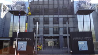 「白いカンガルー」が印象的です