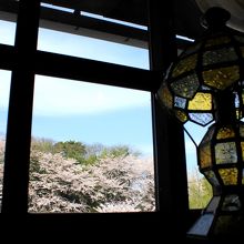 ２階の店内窓から眺める満開の桜