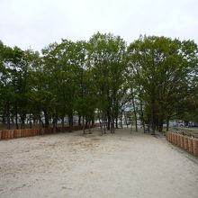 広々とした公園
