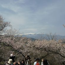 南アルプスの山々