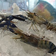 美味しい川エビ