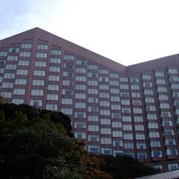 遠近感の狂う独特な外観。