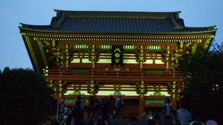 大銀杏は折れてもなお逞しく見えた。鎌倉のシンボルです。