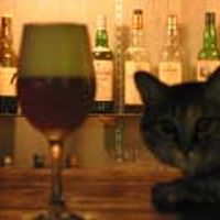 ヒュッテの看板猫のバカボン