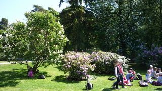 子供たちがたくさんいる普通の公園