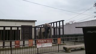 15年前と同じ象？？？