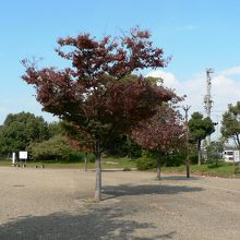 陸軍の砲台跡に南公園として開設した大浜公園