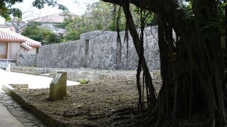 ガジュマルのトンネルをくぐり抜けると、、