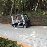 動いているのです・