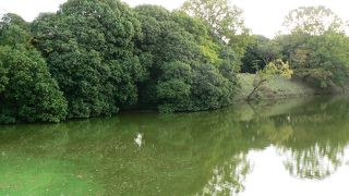 仁徳天皇陵（にんとくてんのうりょう）と呼ばれている大仙陵古墳（だいせんりょうこふん）