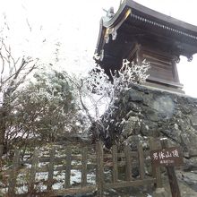 男体山の山頂にて。