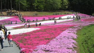 久々でしたが、値段もちょっと．．．