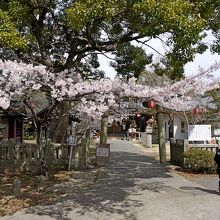 妙見神社