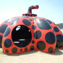 草間 彌生作の赤い南瓜です。