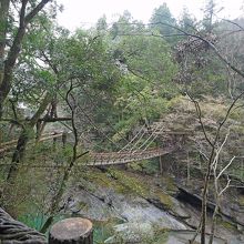 いこい食堂の横からのかずら橋