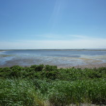 ネイチャーセンターからトドワラ方向を見る