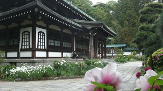 玉縄北条氏ゆかりのお寺、色とりどりのお花がいい。