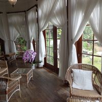 庭の先に海が見えるサロン