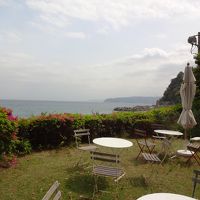 庭から相模湾を望む