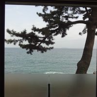 松越しに海　下部のスモークパネルは道路を隠してます