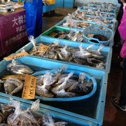 佐島の美味しい魚を買いに！