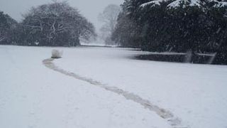 新宿駅の近くの広い公園