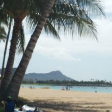 アラモアナビーチにも近いです。テイクアウトしましょう