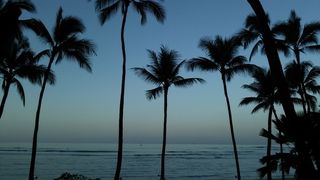 フラグリル　窓際の席がおすすめ