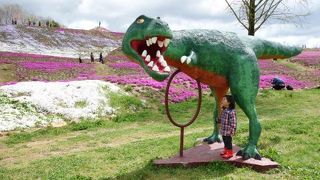 シニア向けスポットでしょうか。