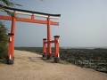 青島