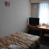 典型的なビジネスホテルのつくりのシングルルームといえる