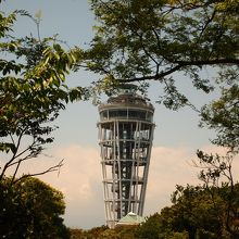 スタバのタンブラーみたいな形。