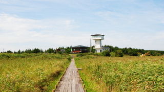 初夏がオススメ