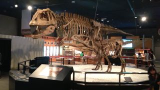 プラネタリウムは見たかった。。が、常設展でも充分満足!