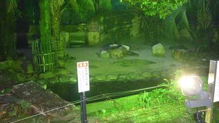 ナイトズーがお勧め