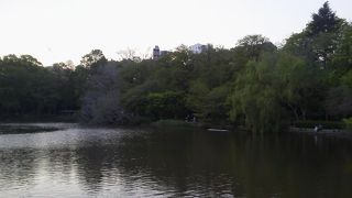 井の頭公園の中央になすのが緑豊かな・・「井の頭池」～吉祥寺～